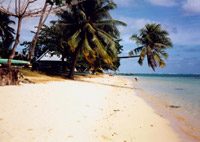 � Kamil Pajta - Travel-Images.com